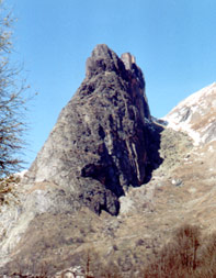 la rocca provenzale