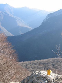 panorama dal settore dei BIG